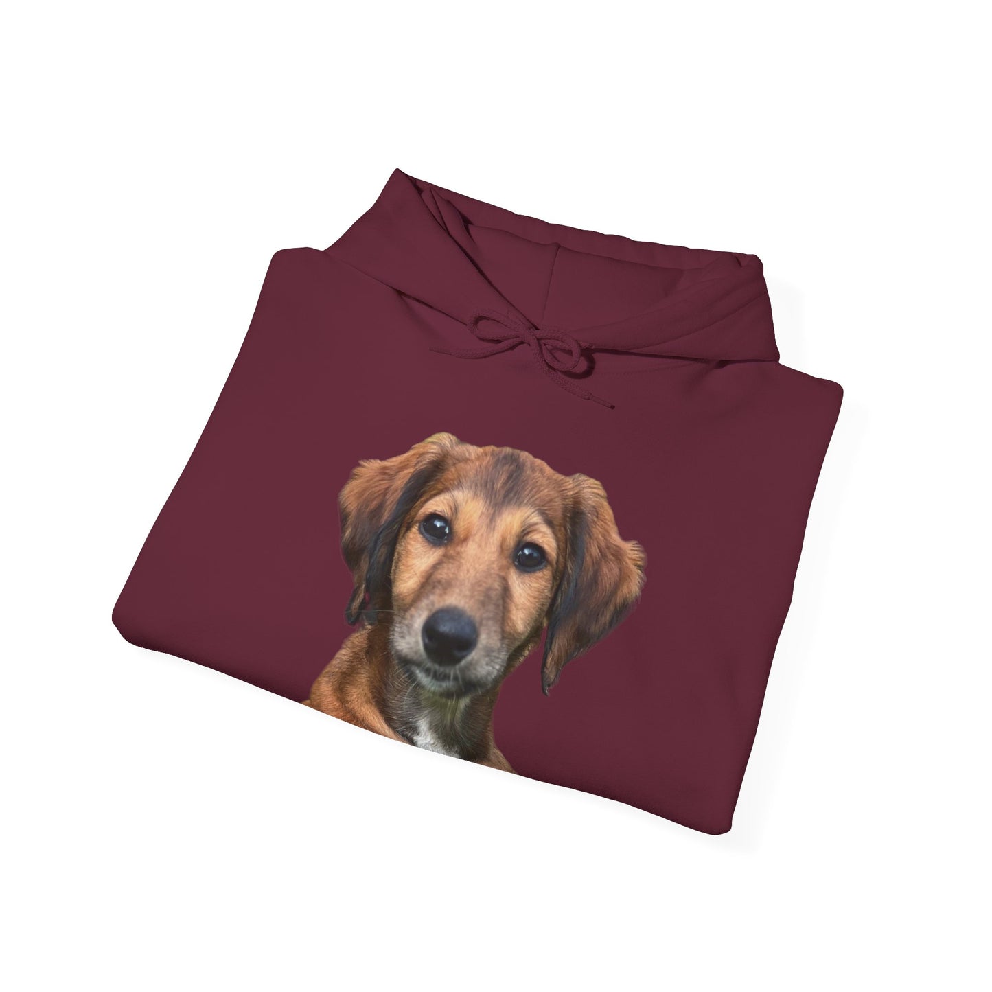 Custom Print - 'Bee' the Saluki Pup