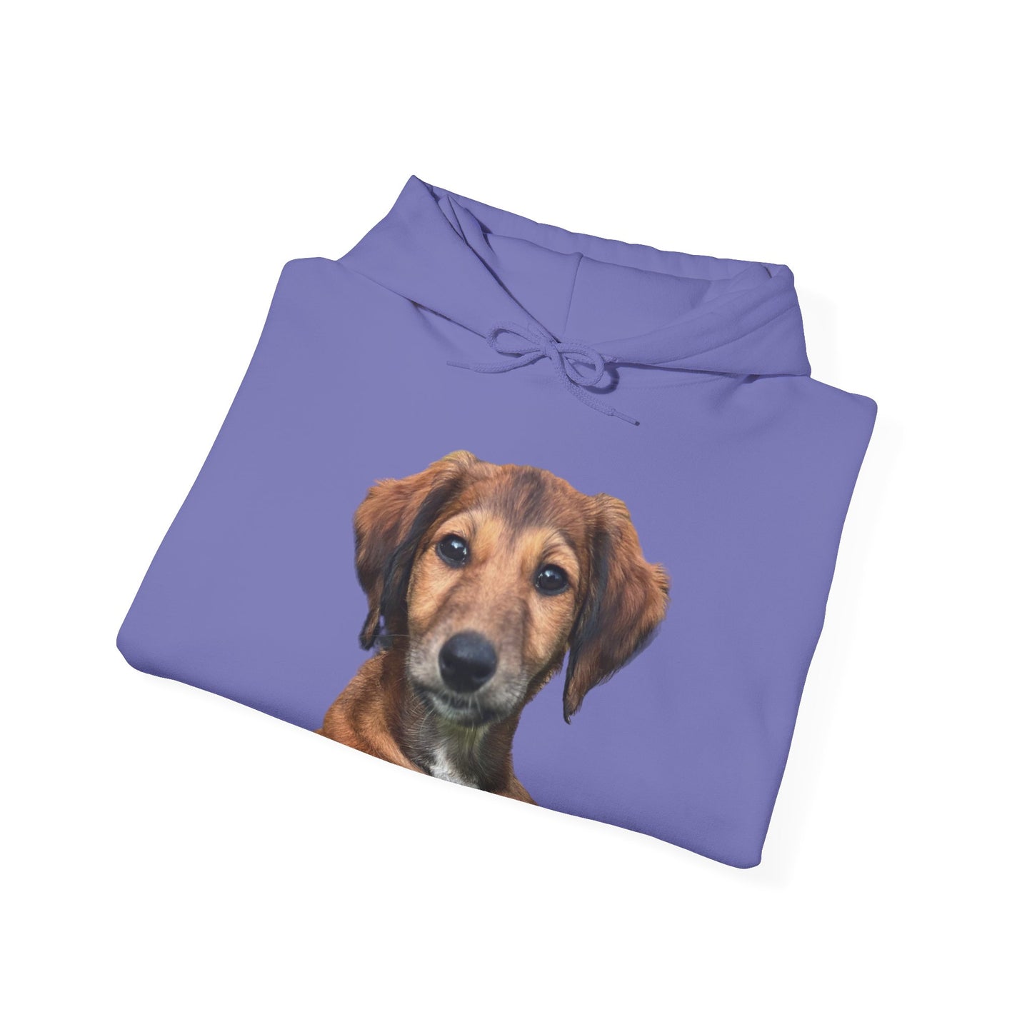 Custom Print - 'Bee' the Saluki Pup