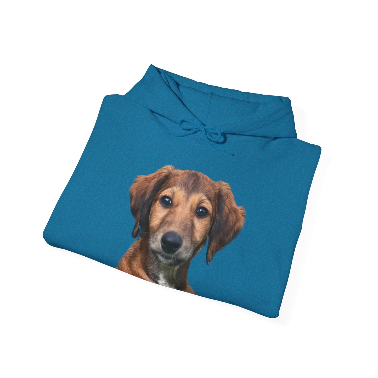 Custom Print - 'Bee' the Saluki Pup