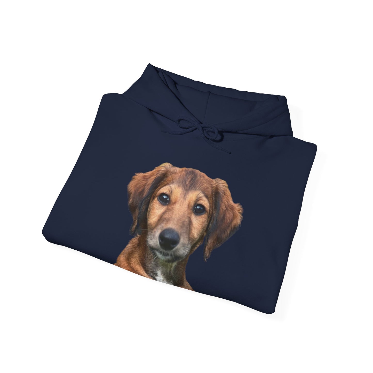 Custom Print - 'Bee' the Saluki Pup